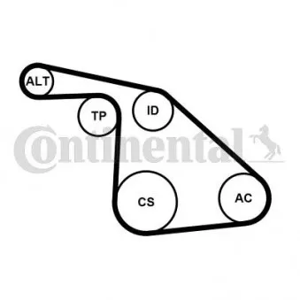 Jeu de courroies trapézoïdales à nervures CONTITECH 6PK1038K1