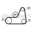 Jeu de courroies trapézoïdales à nervures CONTITECH 6PK1042 ELAST T1 - Visuel 1
