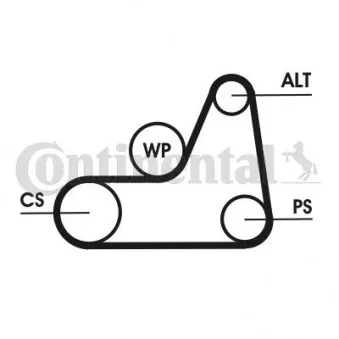 Jeu de courroies trapézoïdales à nervures CONTITECH 6PK1042 ELAST T1