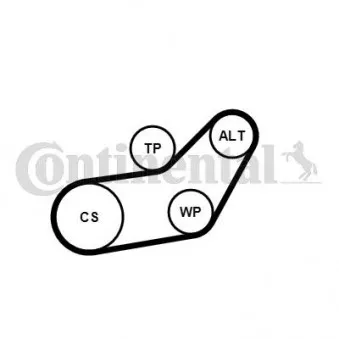 Jeu de courroies trapézoïdales à nervures CONTITECH 6PK1045K1