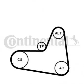 Jeu de courroies trapézoïdales à nervures CONTITECH 6PK1045K2