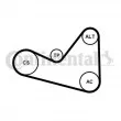 Jeu de courroies trapézoïdales à nervures CONTITECH 6PK1050K3 - Visuel 1