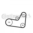Jeu de courroies trapézoïdales à nervures CONTITECH 6PK1070K2 - Visuel 1