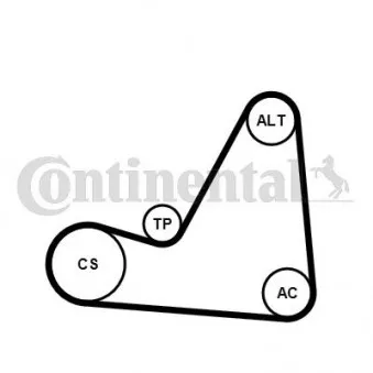 Jeu de courroies trapézoïdales à nervures CONTITECH 6PK1070K3