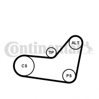 Jeu de courroies trapézoïdales à nervures CONTITECH 6PK1080K3