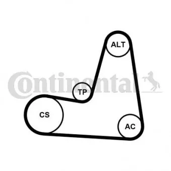 Jeu de courroies trapézoïdales à nervures CONTITECH 6PK1130K2