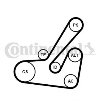 Jeu de courroies trapézoïdales à nervures CONTITECH 6PK1145K2