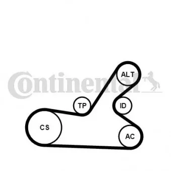 Jeu de courroies trapézoïdales à nervures CONTITECH 6PK1145K4
