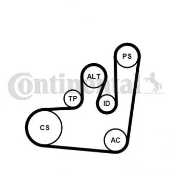 Pompe à eau+Jeu de courroie trapézoïdale à nervures CONTITECH 6PK1145WP3