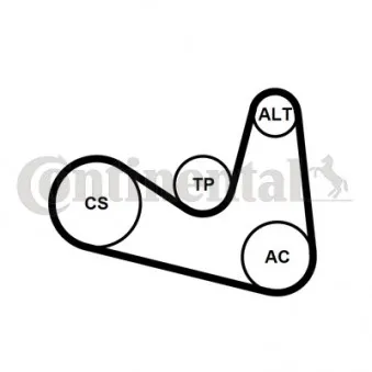 Jeu de courroies trapézoïdales à nervures CONTITECH 6PK1180K2