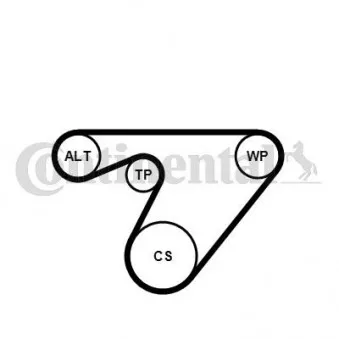 Jeu de courroies trapézoïdales à nervures CONTITECH 6PK1180K3