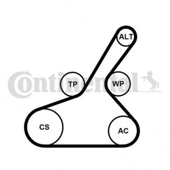 Jeu de courroies trapézoïdales à nervures CONTITECH 6PK1190K1