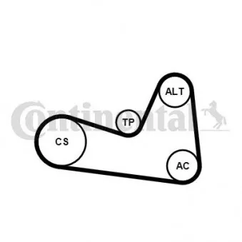 Jeu de courroies trapézoïdales à nervures CONTITECH 6PK1200K1