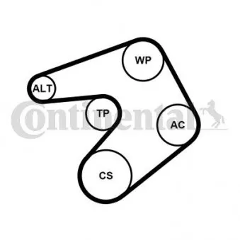 Pompe à eau+Jeu de courroie trapézoïdale à nervures CONTITECH 6PK1205WP1