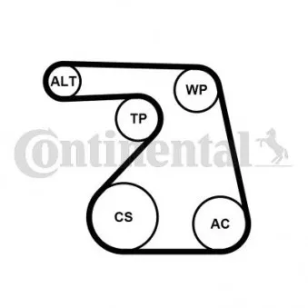 Jeu de courroies trapézoïdales à nervures CONTITECH 6PK1217K2