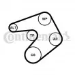 Jeu de courroies trapézoïdales à nervures CONTITECH 6PK1244K1 - Visuel 1