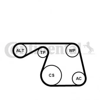 Jeu de courroies trapézoïdales à nervures CONTITECH 6PK1310K1