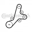 Jeu de courroies trapézoïdales à nervures CONTITECH 6PK1345K1 - Visuel 1