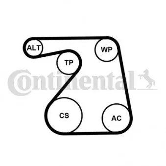 Pompe à eau+Jeu de courroie trapézoïdale à nervures CONTITECH 6PK1360WP1