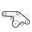 Jeu de courroies trapézoïdales à nervures CONTITECH 6PK1370K1 - Visuel 1