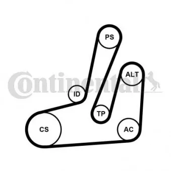 Jeu de courroies trapézoïdales à nervures CONTITECH 6PK1390K1