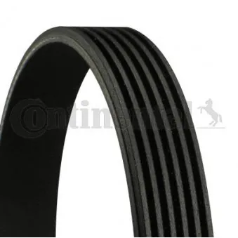 Courroie trapézoïdale à nervures CONTITECH 6PK1413
