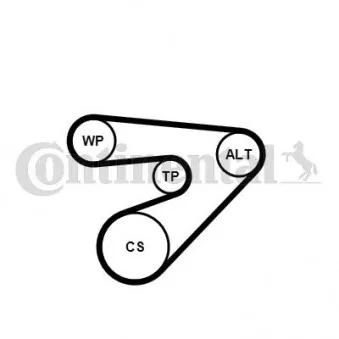 Jeu de courroies trapézoïdales à nervures CONTITECH 6PK1453K2