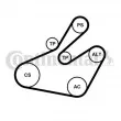 Jeu de courroies trapézoïdales à nervures CONTITECH 6PK1468K1 - Visuel 1