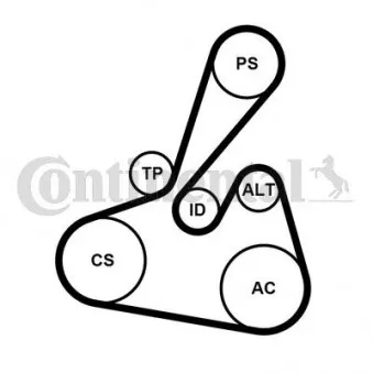 Jeu de courroies trapézoïdales à nervures CONTITECH 6PK1502 EXTRA K1