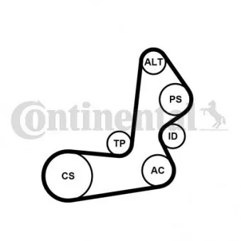 Jeu de courroies trapézoïdales à nervures CONTITECH 6PK1515K1