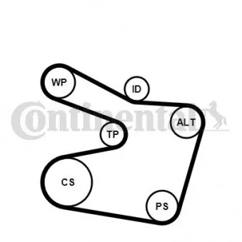 Jeu de courroies trapézoïdales à nervures CONTITECH 6PK1538K2