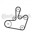 Jeu de courroies trapézoïdales à nervures CONTITECH 6PK1548K1 - Visuel 1