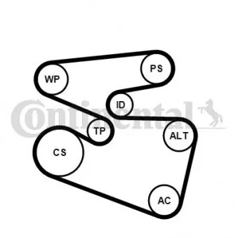 Jeu de courroies trapézoïdales à nervures CONTITECH 6PK1555K3