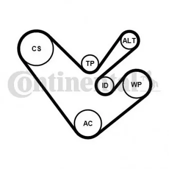 Jeu de courroies trapézoïdales à nervures CONTITECH 6PK1555K4
