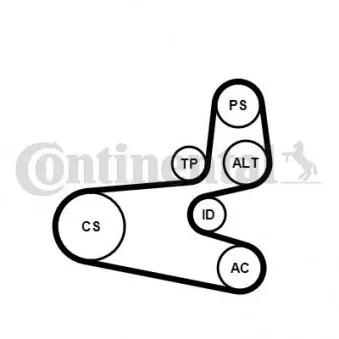 Jeu de courroies trapézoïdales à nervures CONTITECH 6PK1560K1