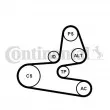 Jeu de courroies trapézoïdales à nervures CONTITECH 6PK1564K1 - Visuel 1