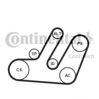 Jeu de courroies trapézoïdales à nervures CONTITECH 6PK1580K1