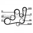 Jeu de courroies trapézoïdales à nervures CONTITECH 6PK1642D1 - Visuel 1