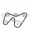 Jeu de courroies trapézoïdales à nervures CONTITECH 6PK1642K2 - Visuel 1