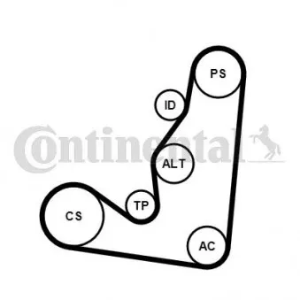 Jeu de courroies trapézoïdales à nervures CONTITECH 6PK1660K4