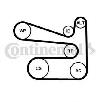 Jeu de courroies trapézoïdales à nervures CONTITECH 6PK1693K1