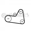 Jeu de courroies trapézoïdales à nervures CONTITECH 6PK1710K1 - Visuel 1