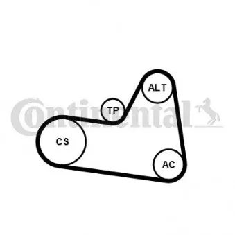 Jeu de courroies trapézoïdales à nervures CONTITECH 6PK1710K1