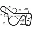 Jeu de courroies trapézoïdales à nervures CONTITECH 6PK1720D1 - Visuel 1