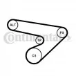 Jeu de courroies trapézoïdales à nervures CONTITECH 6PK1725K1 - Visuel 1