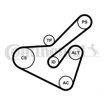 Jeu de courroies trapézoïdales à nervures CONTITECH 6PK1725K2
