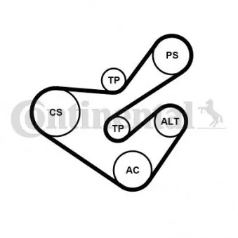 Jeu de courroies trapézoïdales à nervures CONTITECH 6PK1733K5