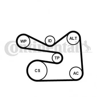 Pompe à eau+Jeu de courroie trapézoïdale à nervures CONTITECH 6PK1733WP2