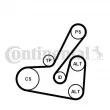 Jeu de courroies trapézoïdales à nervures CONTITECH 6PK1740K2 - Visuel 1