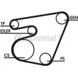 Jeu de courroies trapézoïdales à nervures CONTITECH 6PK1750D1 - Visuel 1